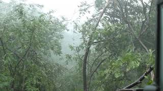 Cyclone Vardah at IIT Madras 11