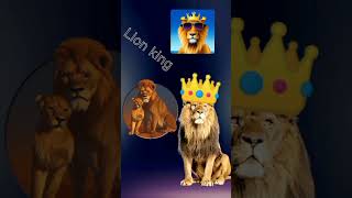 lion king of subscribe karo 👍😎❤️