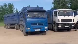 Grain trucks loaded with grain are going to Novorossiysk. Agroholding IEC.