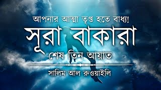 প্রশান্তিময় বাকারার শেষ তিন আয়াত |⁠| Surah bakarar last 3 ayat |⁠| আন নাফী An nafee