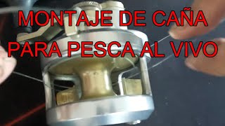 Montaje CAÑA para vivo