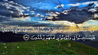 وَإِذَا سَأَلَكَ عِبَادِي عَنِّي فَإِنِّي قَرِيبٌ ۖ.. (186) احمد النفيس