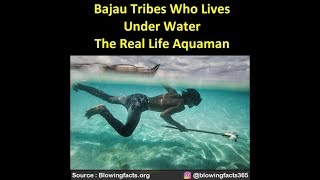 Bajau Tribes Who Lives Under Water- The Real Life Aquaman