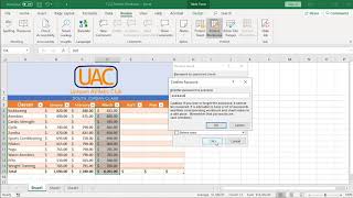 Protect Worksheets and Cell Ranges - Excel 2019 Expert tutorial