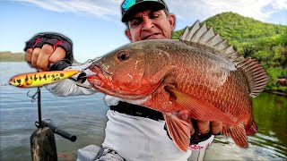 RENOVE MI SKIFF Y TUVE UNA INCREIBLE PESCA