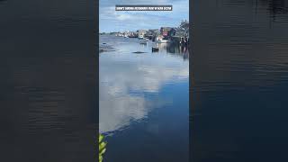 Wonderful fish and chips spot that you have to visit if you were in the area visiting Peggy's Cove