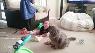 Babies and cats   funny moments and failures