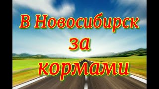 В Новосибирск за кормами. Поездка 3 - 5 июля  2023 года