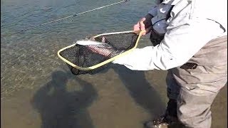 BEST FLY FISHING, SAN JUAN RIVER, NAVAJO DAM, NEW MEXICO 2018