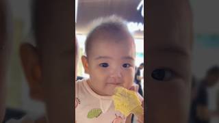 The baby said, 'I seem to have eaten it.'#babyshorts #babysongs #cutebaby