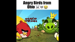 Angry birds from Ohio