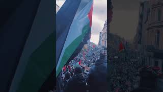 #الاغنية_عشق #🇵🇸 #✌🏾 #🇵🇸 #✌🏻