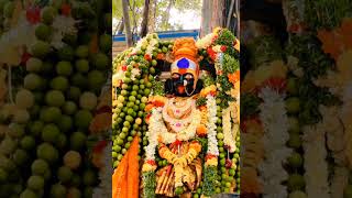 Falaknuma Kali Mata #falaknumakalimata #shorts #ytshorts #kalimaa #navarathri