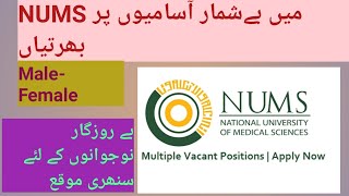 NUMS University Jobs 2022/Earningworld