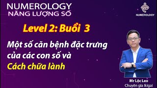 Level 2- Buổi 3- Một số bệnh đặc trưng của các con số và cách chữa lành