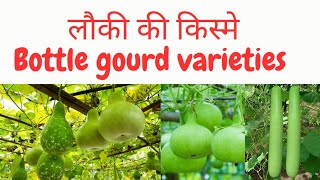 लौकी की किस्मे | Bottle gourd varieties | Bottle gourd ki kheti | lauki ki kheti #bottlegourd