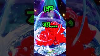 সব ভালোবাসা শুধু প্রেম হয়না🌹Bengla love Status WhatsApp Status Video