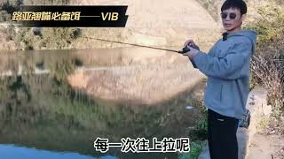 路亚初学与进阶：路亚翘嘴系列（5）路亚翘嘴必备饵VIB #钓鱼人 #路亚新手入门教程 #路亚翘嘴