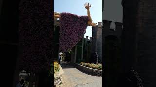 Hanging Lady #shorts #asmr #satisfying #trending #flowers #miraclegarden #viral #video