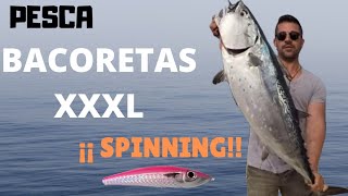 Bacoreta Spininng XXXL