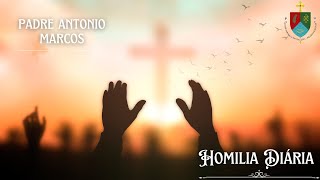 Homilia:17ª Semana do Tempo Comum | Quarta-feira (Mt 13,44-46) 2 ago 23 - Santa Luzia