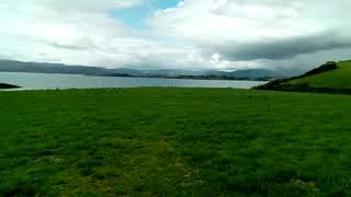 Bantry side of Whiddy island. WAW. August BH 2021.