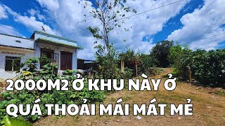 Đất Ven Đà Lạt |  vì nhu cầu gia đình mà c.ắt ra mà bá.n , ai có duyên với mảnh này không