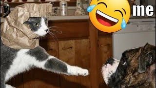 Funniest😂 and Best Dogs and Cats video