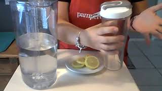 Pampered Chef Infusion water bottle