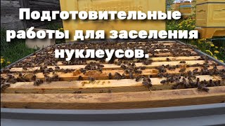 Подготовительные работы для заселения нуклеусов