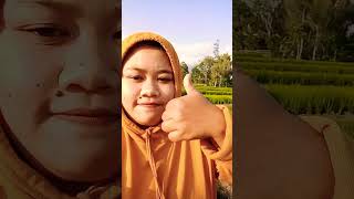 menikmati sore di sawah #shortsyoutube