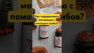 Как поддерживать мотивацию с помощью грибов? #микродозингмухомора #ежовик