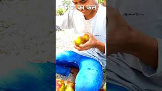 ताड़ का फल |Village Famous Palm Food |#shorts#trendingshorts#villagefood