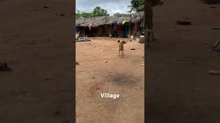 Africa Village Vs City