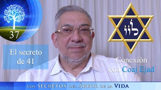 Kabbalah: Los secretos del árbol de la vida - clase 37