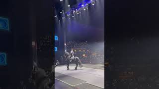 Gusttavo Lima põe cavalo no palco durante show em BH e divide opiniões: Lindo, mas é mau trato.