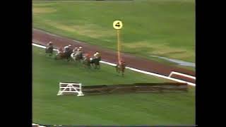 1981 VRC Grand National Hurdle