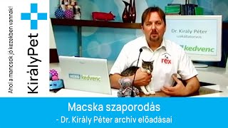 Macska szaporodás