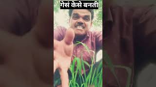 गेसं केसे बनती हे YouTube shot Jagdish funny video comedy video Chandrayan 3 video