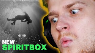 SPIRITBOX ENTERED 2024 // Spiritbox - Soft Spine (Reaction)