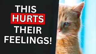 25 Common Mistakes That Break Your Cat’s Heart