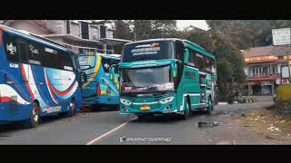 Ngoyod Bus Raffael Knp Trans‼Full Spok Spok Di Jalur Lika Liku👍|ADI ARYANA OFFICIAL