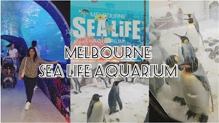 Sea Life Aquarium Melbourne | Penguins in Melbourne Sea Life Aquarium