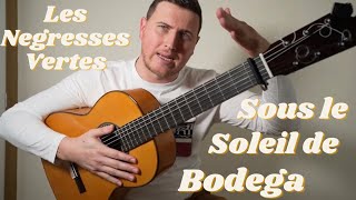 Les Negresses Verts - Sous le soleil de Bodega - Tutoriel - Rumba Gitane