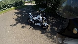 honda grom is so much fun!