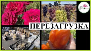 САД И ОГОРОД.  ПЕРЕЗАГРУЗКА