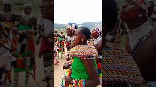 Samburu cultural Song's #samburu #culturaldance #maasai #travel