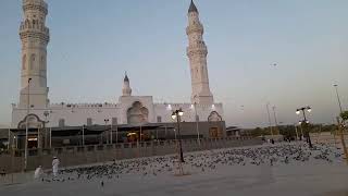 masjid gmama Madina Sharif Mohammed Masood sultan