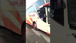 Kedatangan Murni jaya di kotabumi mbois juga #shorts #busmania