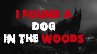 I found a dog in the woods.